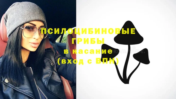 мяу мяу мука Белокуриха