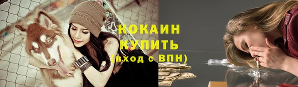 мяу мяу мука Белокуриха