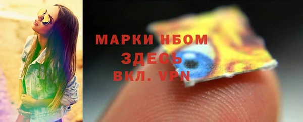 мяу мяу мука Белокуриха
