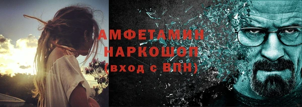 прущие грибы Волоколамск