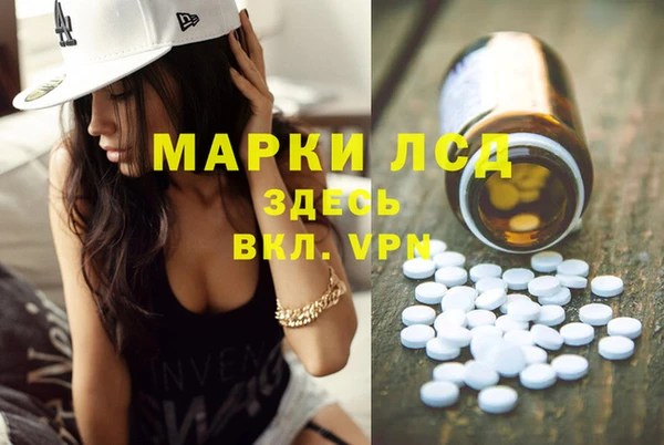 мяу мяу мука Белокуриха