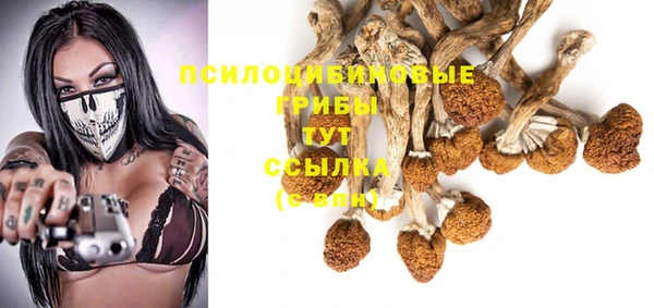 мяу мяу мука Белокуриха