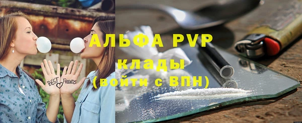 мяу мяу мука Белокуриха